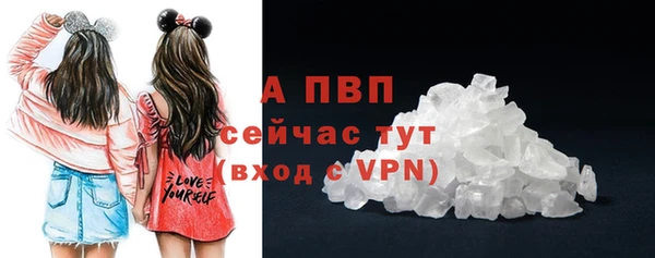 стафф Козловка