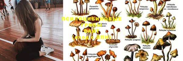 мефедрон мука Корсаков